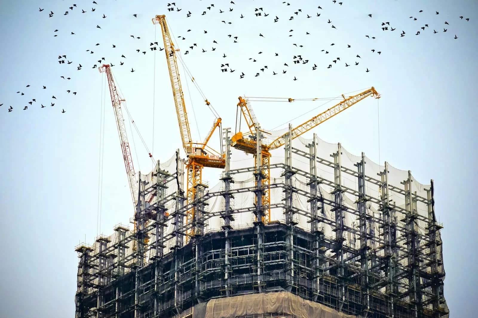 دیوارچینی و تیغهبندی